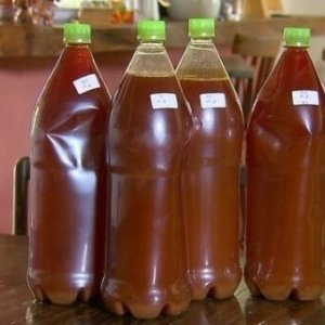 6043491_640x360-1-600x338 Buy Ayahuasca Tea Online | Order Ayahuasca Tea Online