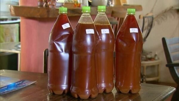 Buy Ayahuasca Tea Online | Order Ayahuasca Tea Online